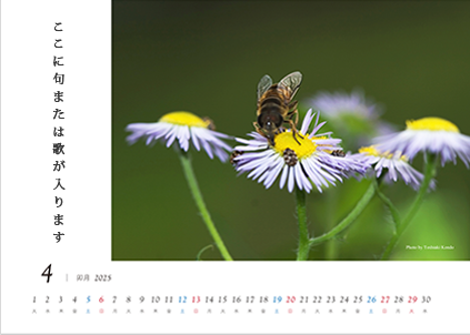 写真ヨコ向き・文字の位置 左(写真フチあり)