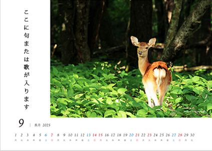 写真タテ向き・文字の位置 右(写真フチあり)
