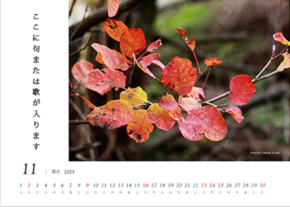 写真タテ向き・文字の位置 右(写真フチあり)
