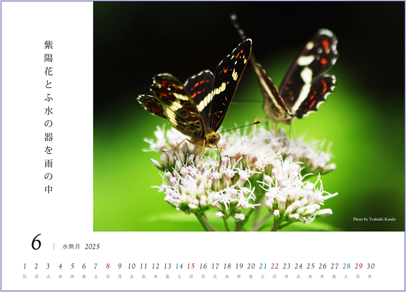 わたし暦 写真ワイド